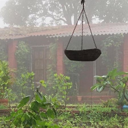 Siddhadham - Farm Stay & Wellness Retreat Насик Экстерьер фото